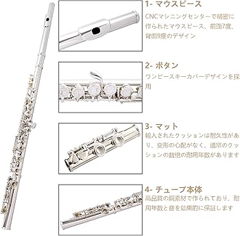 Amazon | BQKOZFIN フルート 16穴 木管楽器 Cキー 初心者セット Eメカ