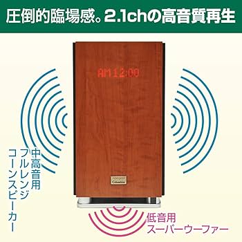 Amazon.co.jp: ユーキャン アナバス オーディオ 名曲100曲内蔵