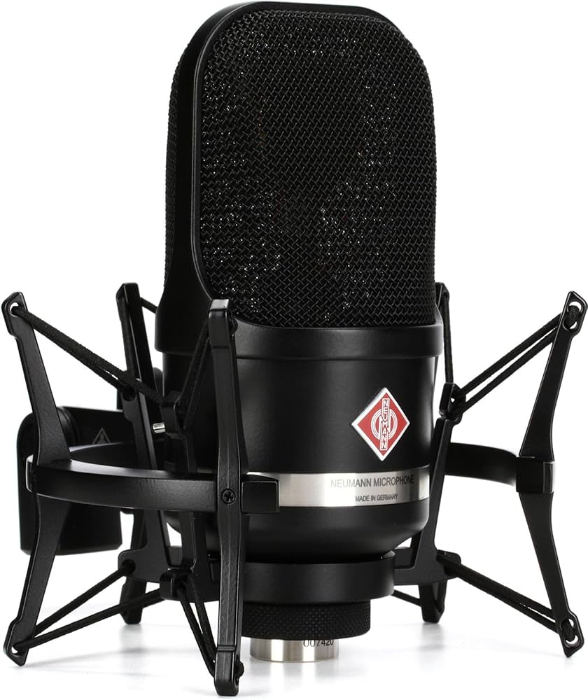 Amazon.com: Neumann TLM 107 Studio Set - Black : Everything Else