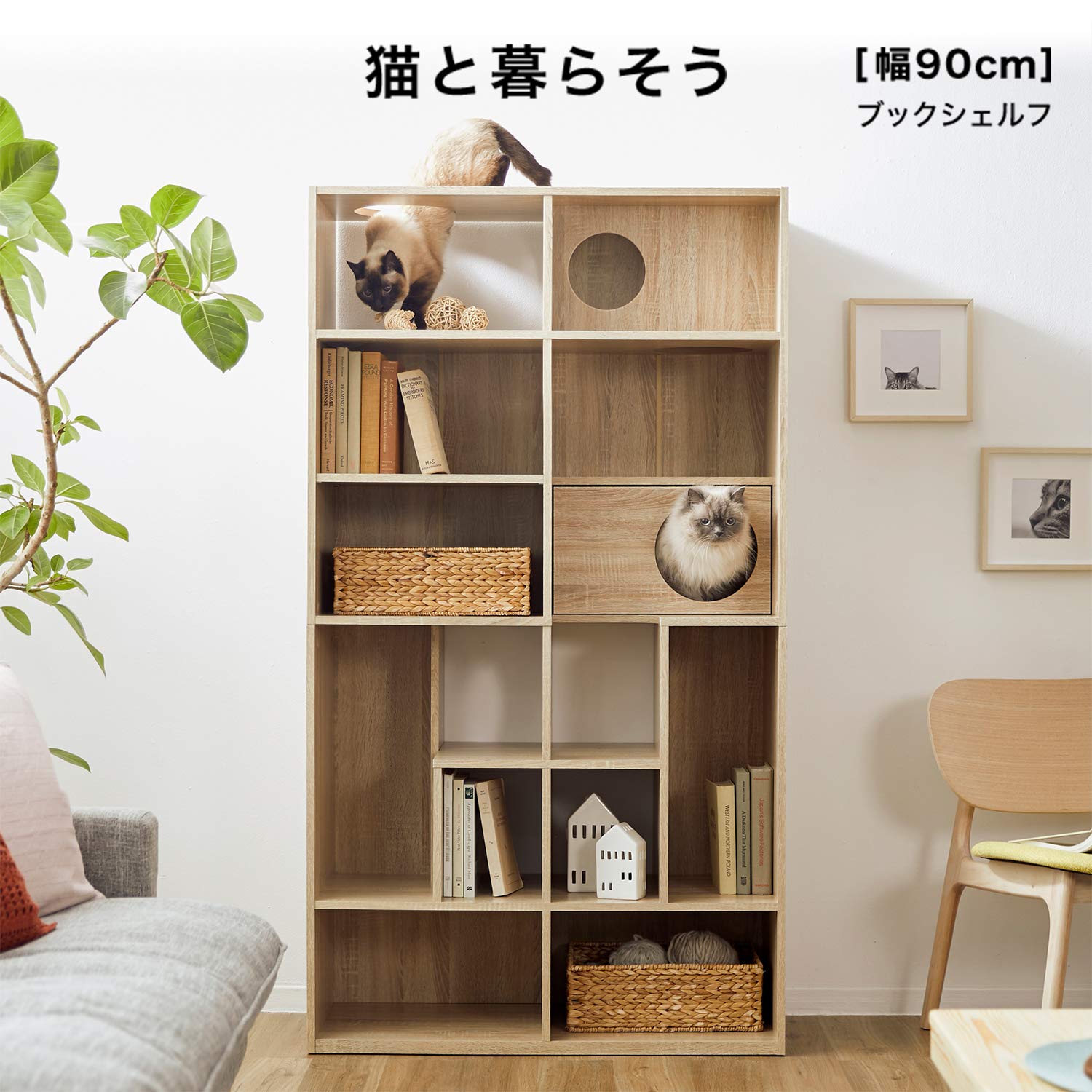 Amazon | LOWYA ロウヤ 猫 家具 キャットタワー キャットウォーク 壁面