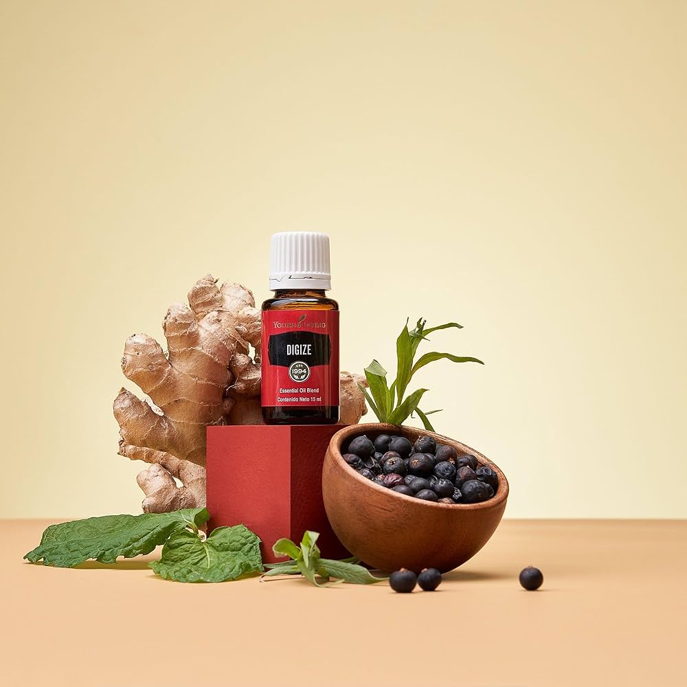 Amazon.com: Young Living Digize 15ml - Ideal for Abdominal Massage