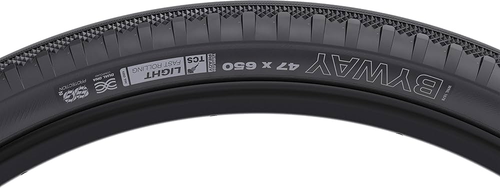 Amazon.com : WTB Byway 650 x 47 Gravel Bike Tire – Tubeless Bike