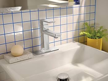 Moen Neese Chrome Single-Handle Lavatory Faucet, 84784 - Amazon.com
