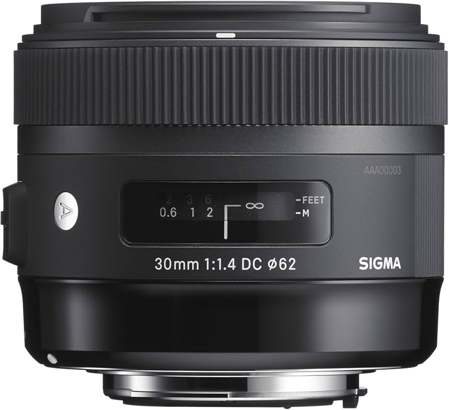 返品保証・動作確認済】SIGMA 30mm F1.4 DC HSM Art 返品保証・動作