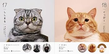 ねこさま名鑑100 | パイ インターナショナル |本 | 通販 | Amazon