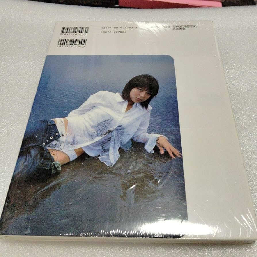 Amazon.co.jp: 相武紗季DVD付き写真集「10代」 : パソコン・周辺機器