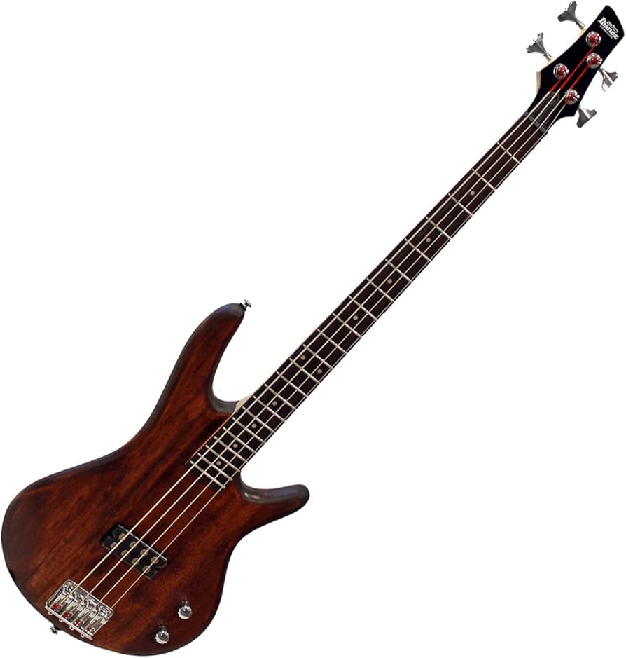 Amazon.com: Ibanez GSR100EX GIO - Mahogany Oil : Musical Instruments