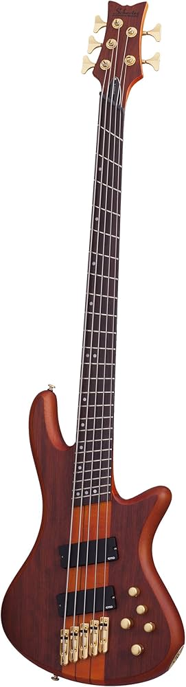 Amazon.com: Schecter Stiletto Studio-5 FF - Honey Satin : Musical
