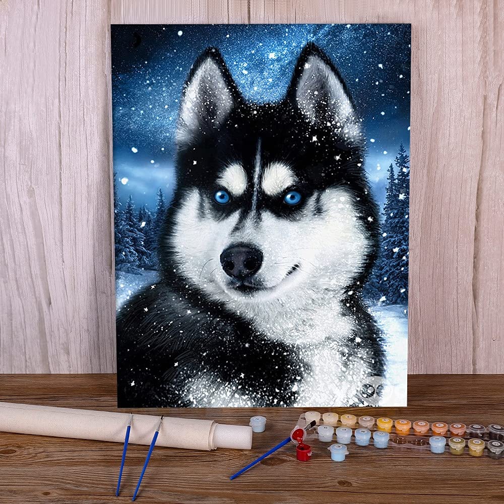 Amazon.co.jp: 数字で描く数字で描く動物の犬油絵キャンバス絵画手作り