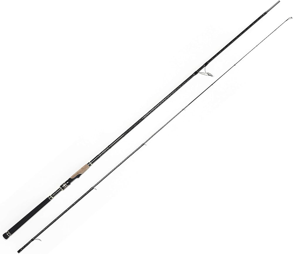 Amazon | アブガルシア(Abu Garcia) シーバスロッド スピニング