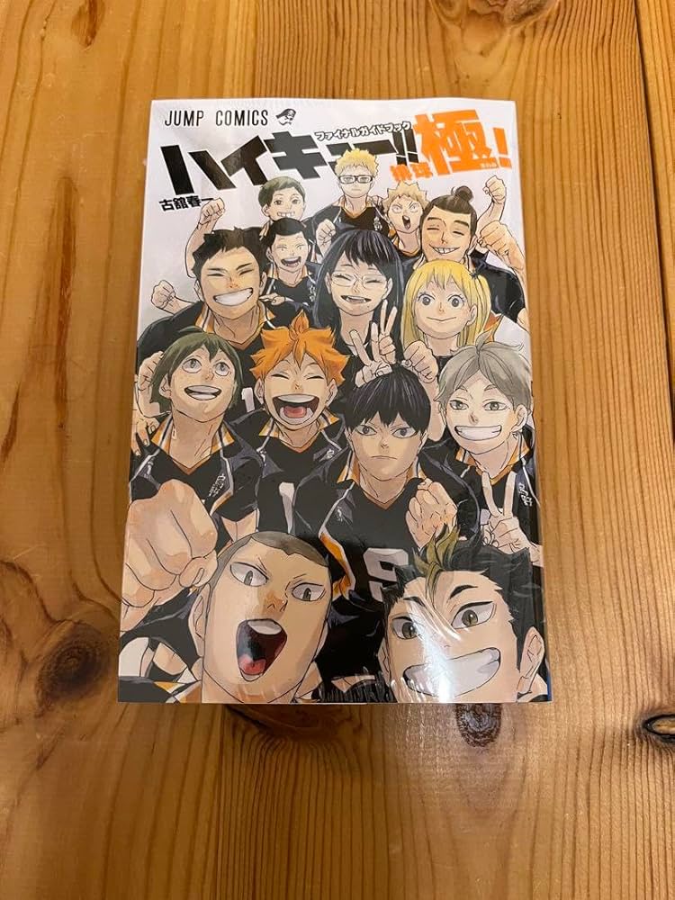 ハイキュー 全巻セット、ハイキュー本、排球極！、33.5、画集 Amazon