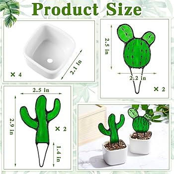 Amazon.co.jp: Sunnychicc ミニサボテン植物ステンドグラス4個セット