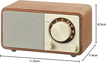 Amazon.co.jp: SANGEAN FMラジオ対応 ブルートゥーススピーカー