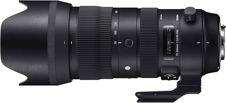 Amazon.com : Sigma 70-200mmF/2.8 DG OS HSM for Nikon F (Renewed