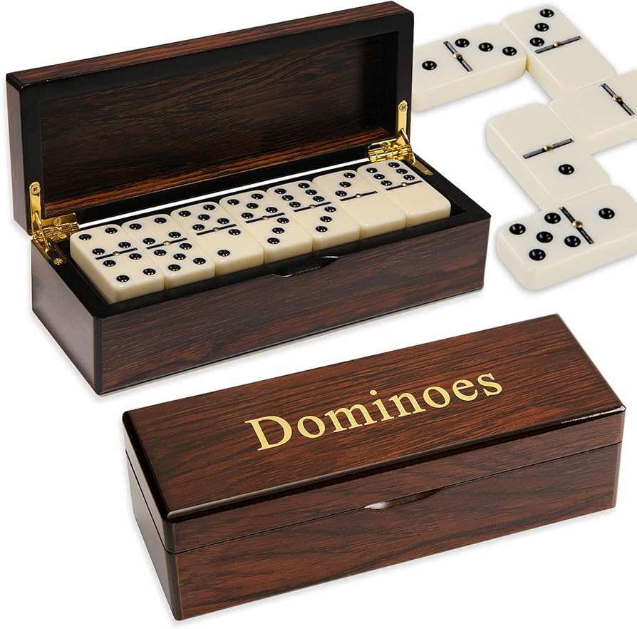 Amazon.com: MEIOCION Double 6 Dominoes Gift Set 28 Tiles with