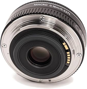 Amazon.com : Canon EF-S 24mm f/2.8 STM Lens : Electronics