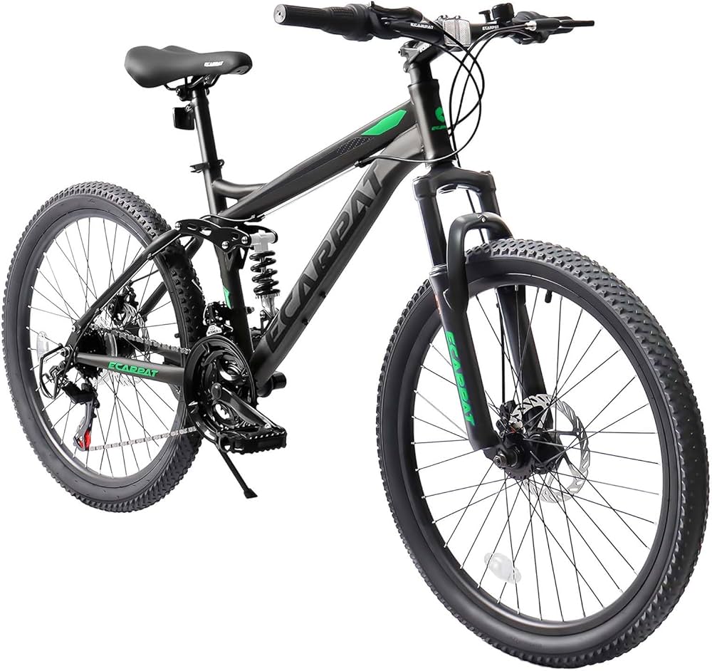 MORATI マウンテンバイクチタンフレーム26インチ用 中古品 MORATI