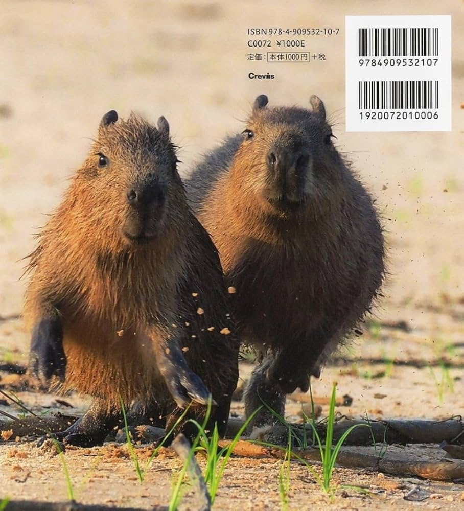 かぴばら (IWAGO'S BOOK 5) | 岩合 光昭 |本 | 通販 | Amazon