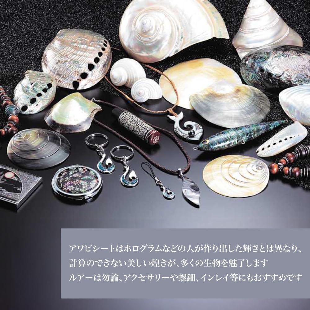 夜光貝 ヤコウ貝 まとめ売り 18個 10、3kg アクセサリー ルアー 大型