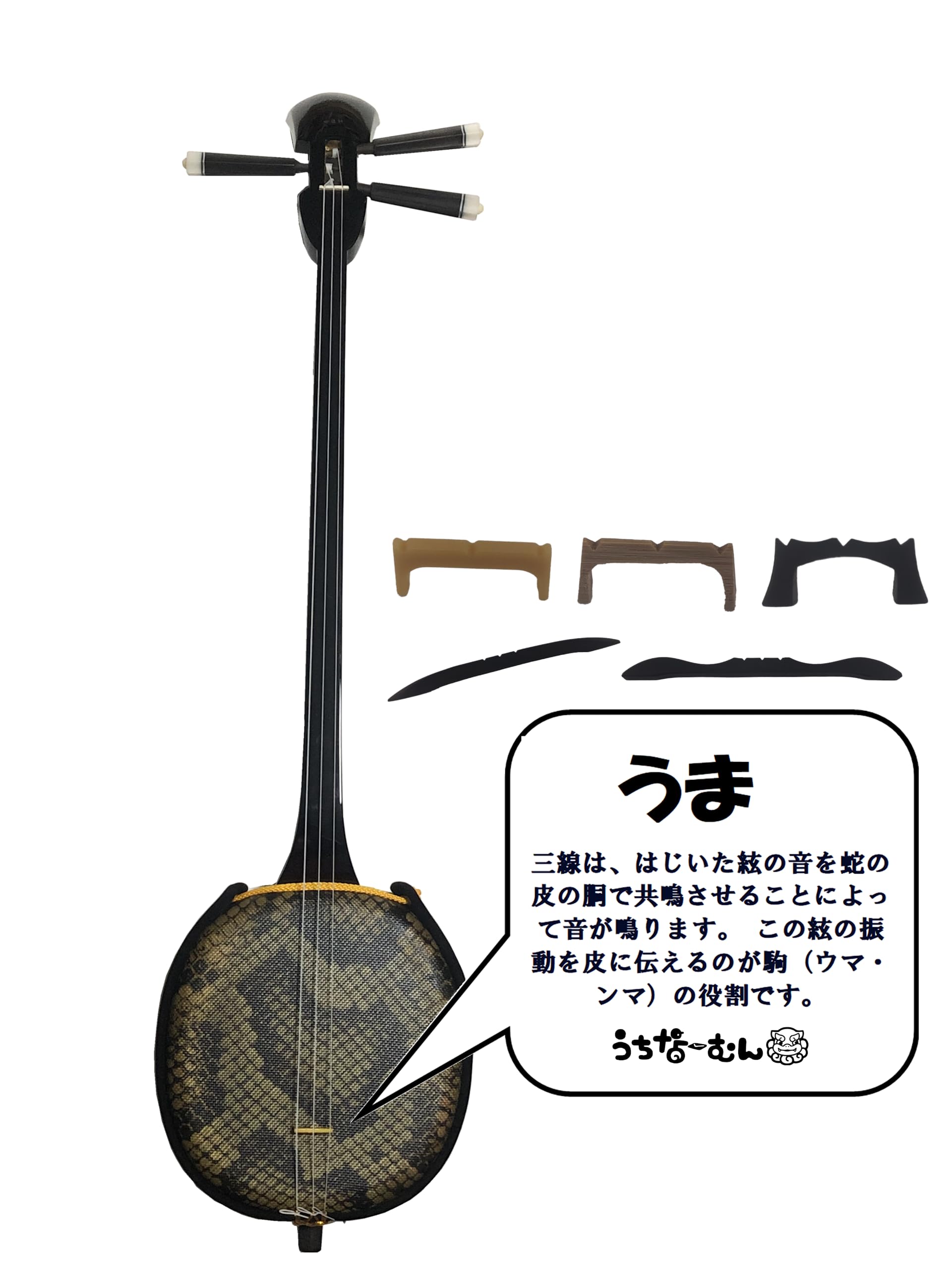 Amazon.co.jp: 三線消音（小音）うま（黒木・黒壇製） ＋うちなーむん