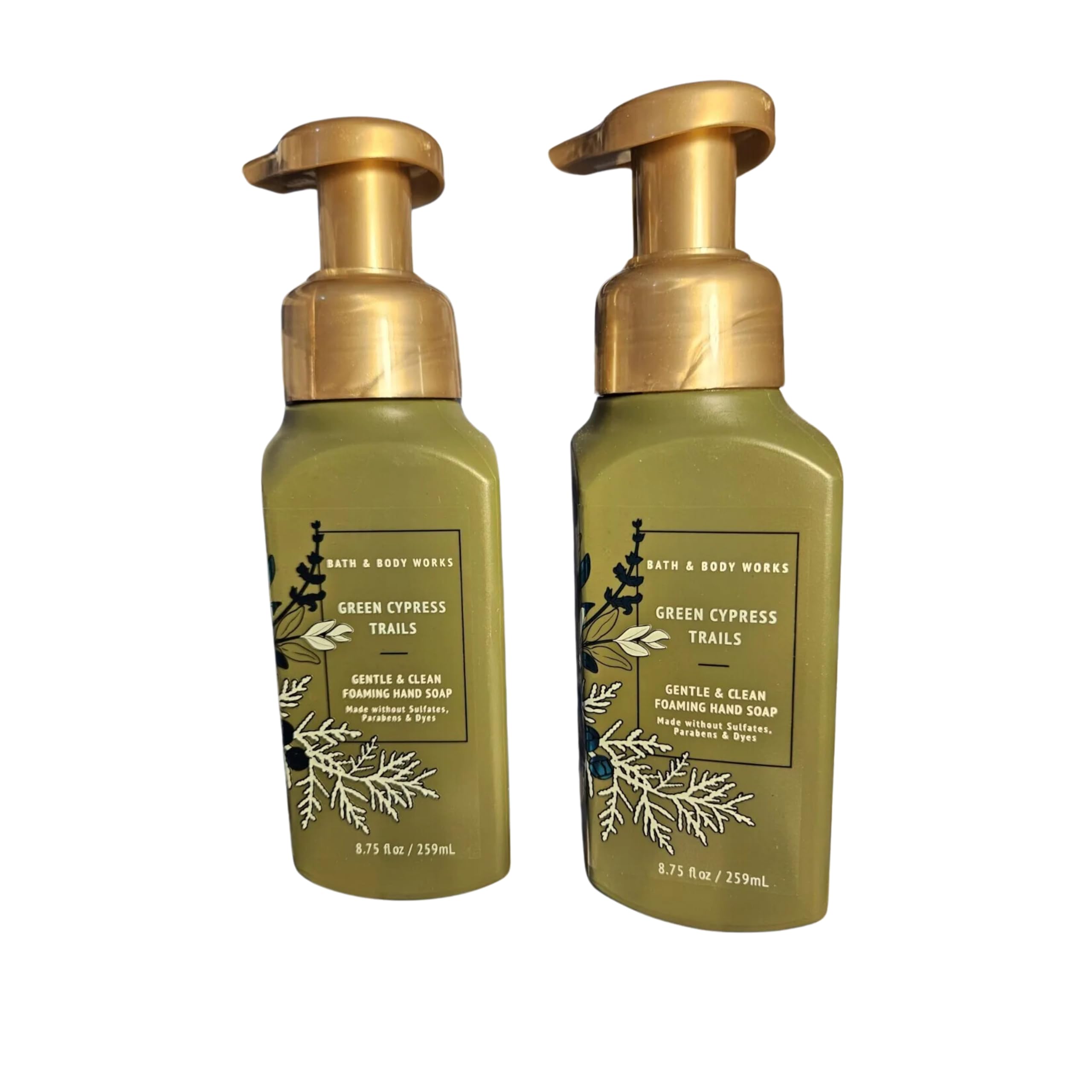 Amazon.com : Bath & Body Works Foaming Hand Soap, Set of 2, 8.75oz