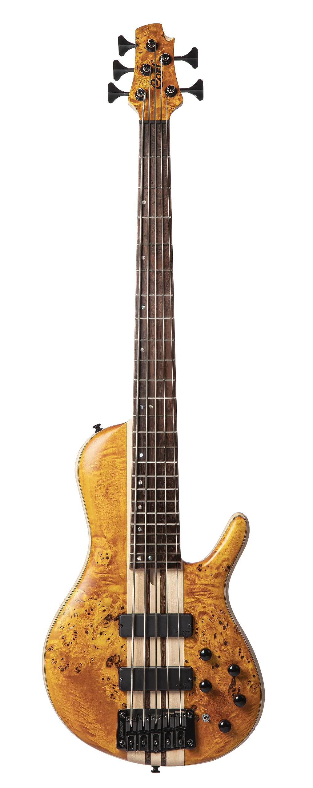 Amazon.com: Cort Artisan Series A5 Plus 5 String Bass Guitar, Open