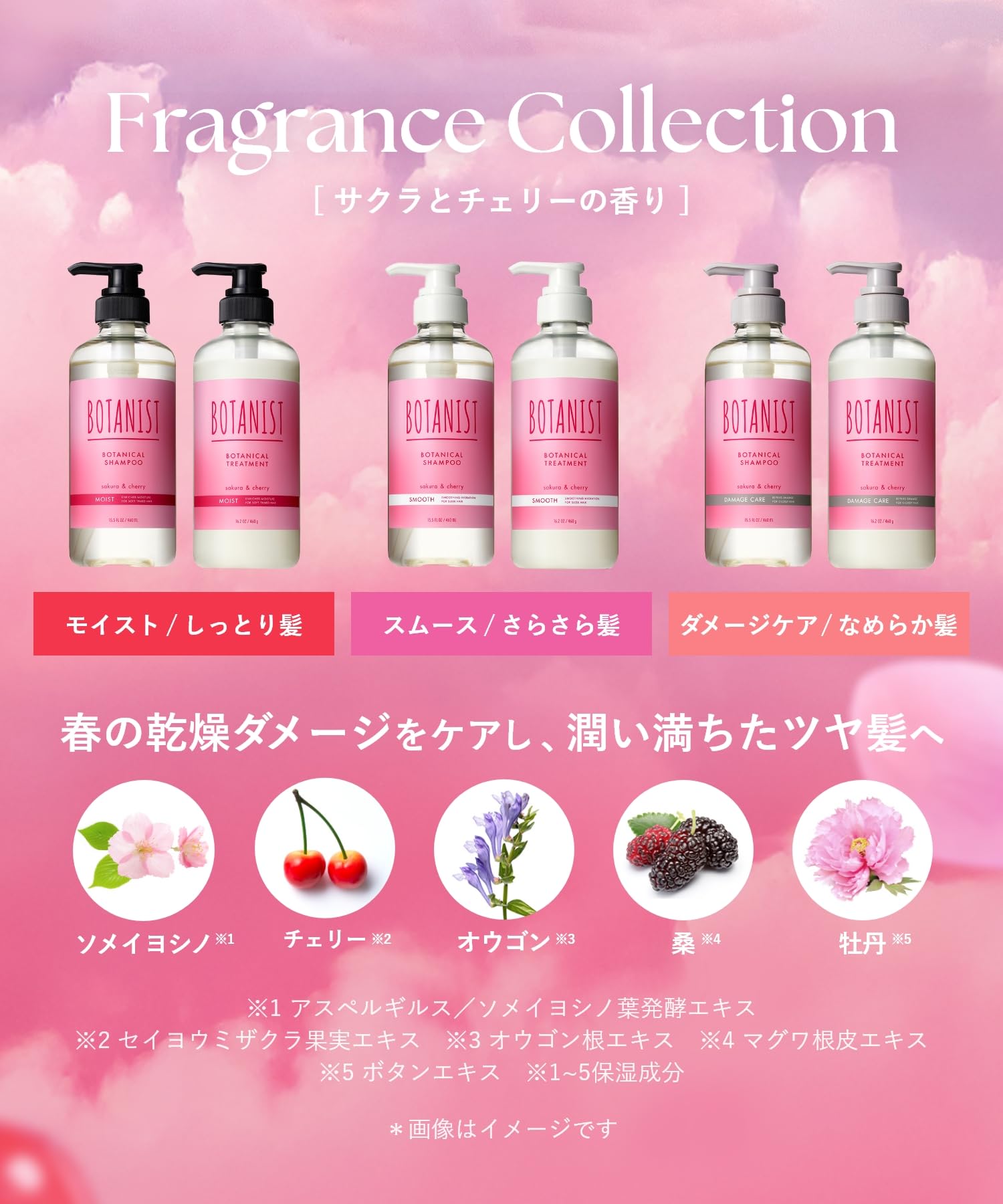 Amazon | [2025春限定] BOTANIST ボタニスト | シャンプー