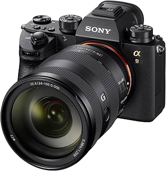 Amazon.com : Sony - FE 24-105mm F4 G OSS Standard Zoom Lens