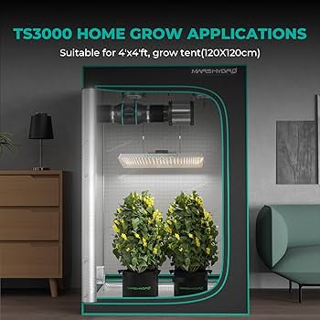 Amazon.com : MARS HYDRO TS 3000 420W LED Grow Light for Indoor