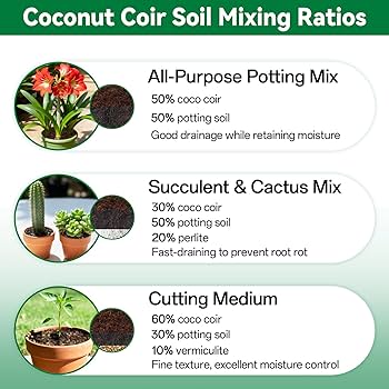 Amazon.com : ZeeDix 2 Pcs Coco Coir Brick for Plants- 100% Organic