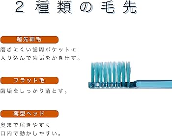 Amazon.co.jp: エビス ゼロプレミアムケア・リッチレギュラー ふつう 3