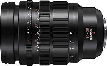 Amazon.com : Panasonic Lumix G Leica DG Vario-Summilux 10-25mm, F1