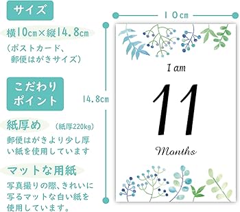 Amazon.co.jp: マンスリーカード ベビー 22枚セット（裏面にメッセージ