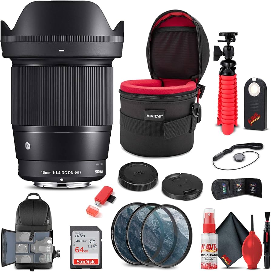 Amazon.com : Sigma 17-50mm f/2.8 EX DC OS HSM Lens for Canon EF