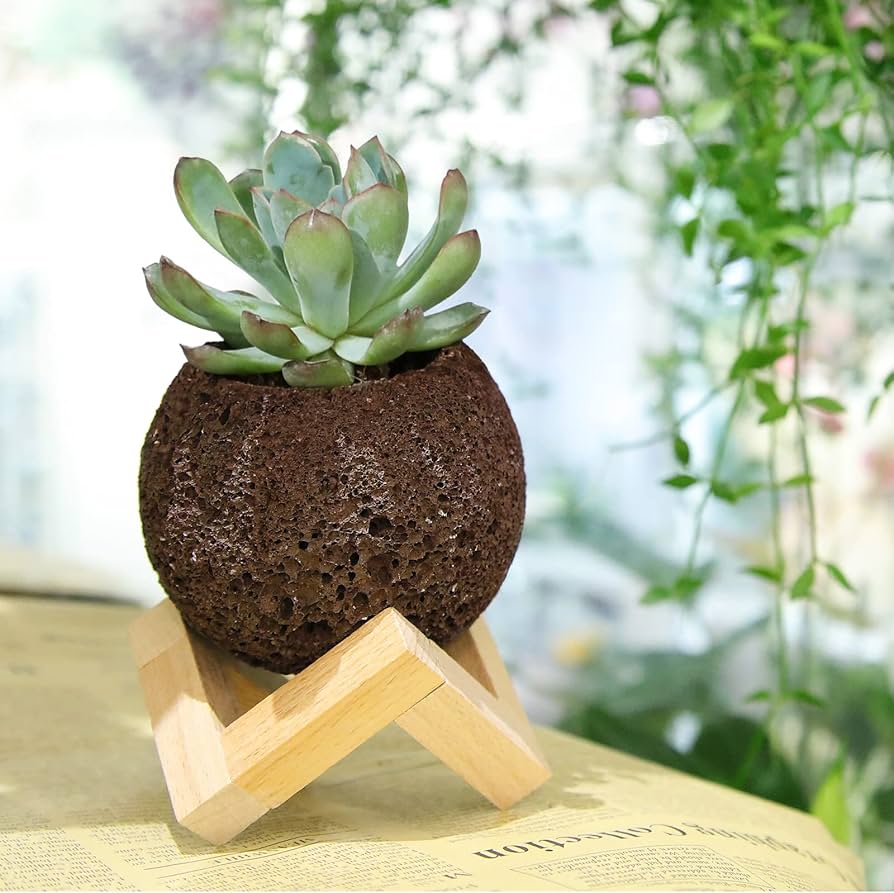 Amazon.co.jp: 天然溶岩石多肉植物の鉢 4個セット 2.1~2.5インチ ミニ