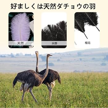 Amazon | フェザー 羽 羽根 天然 ダチョウの羽 装飾用 染め羽根 20本