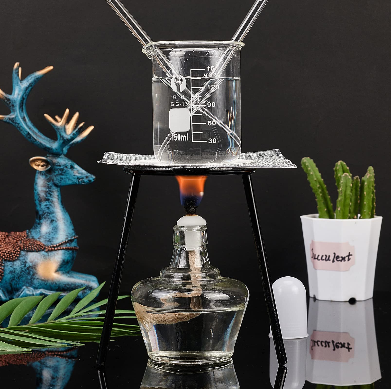 Amazon.co.jp: 12点 アルコールランプ アルコールランプセット 三脚台