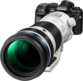 Amazon.co.jp: M.ZUIKO DIGITAL ED 150-400mm F4.5 TC1.25x IS PRO