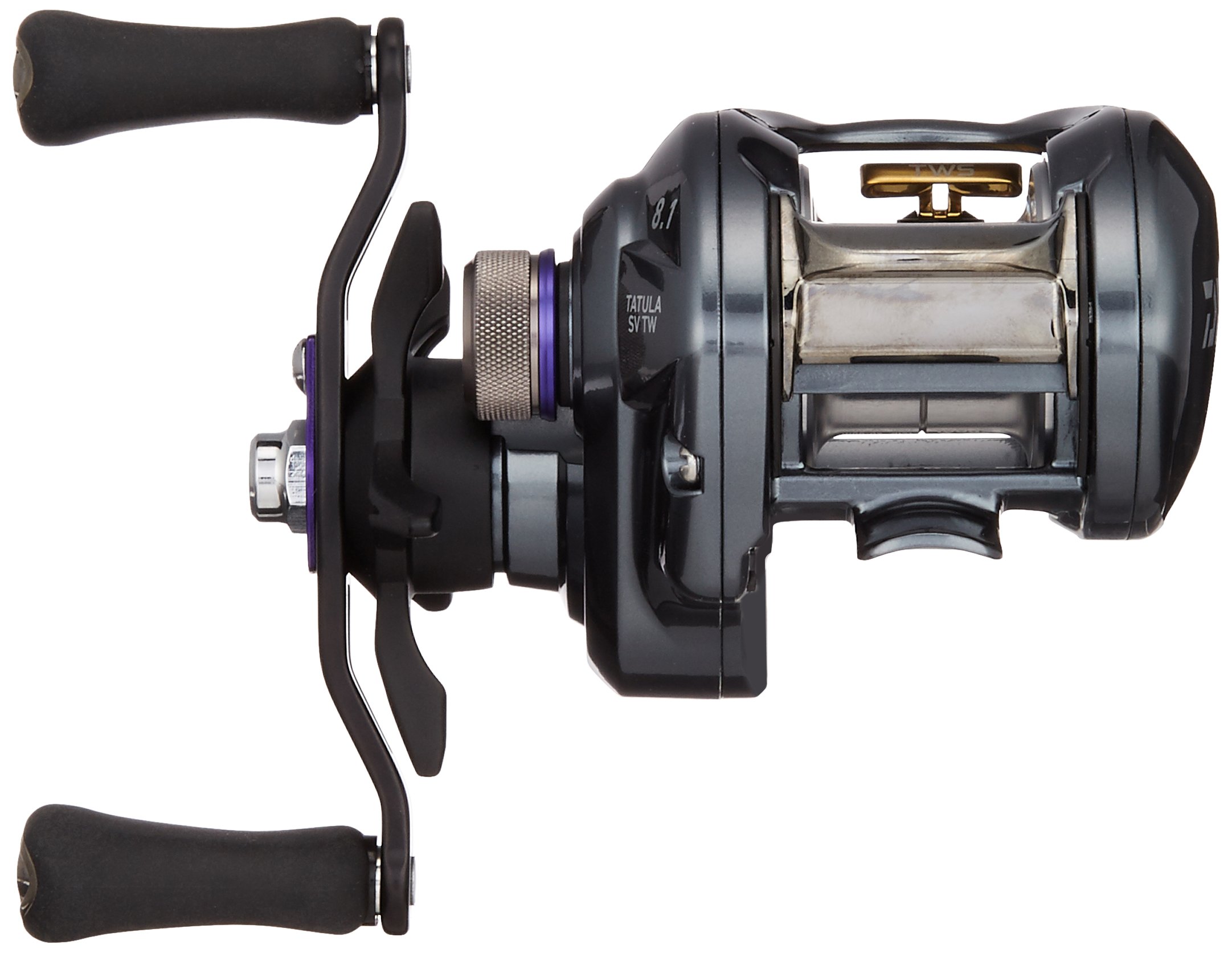 ダイワ タトゥーラSVTW 8.1L ベイトリール タトゥーラ SV TW 8.1L