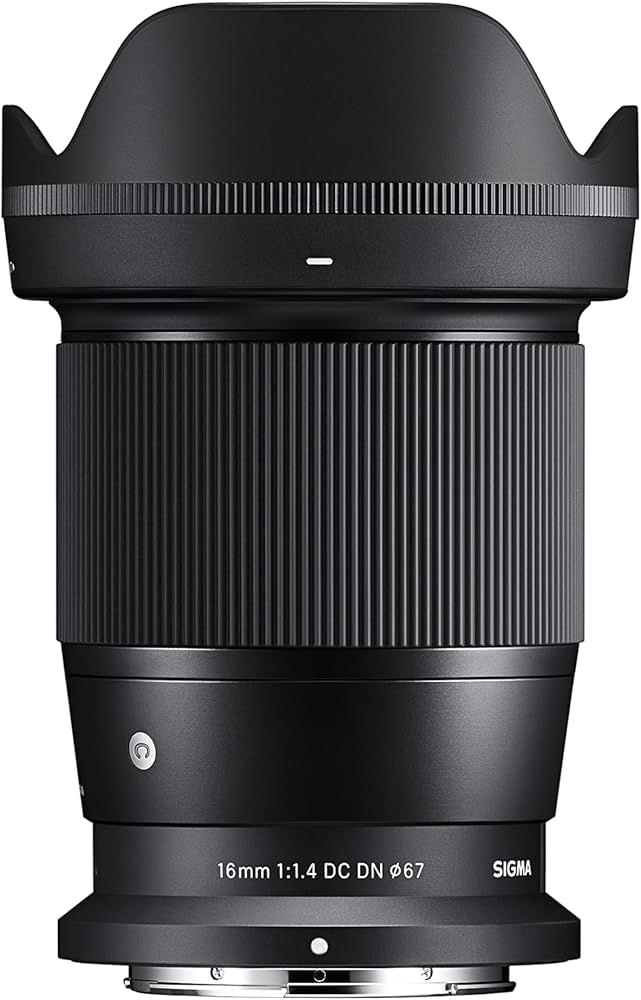 Amazon.com : 16mm F1.4 DC DN Z Nikon Mount : Electronics