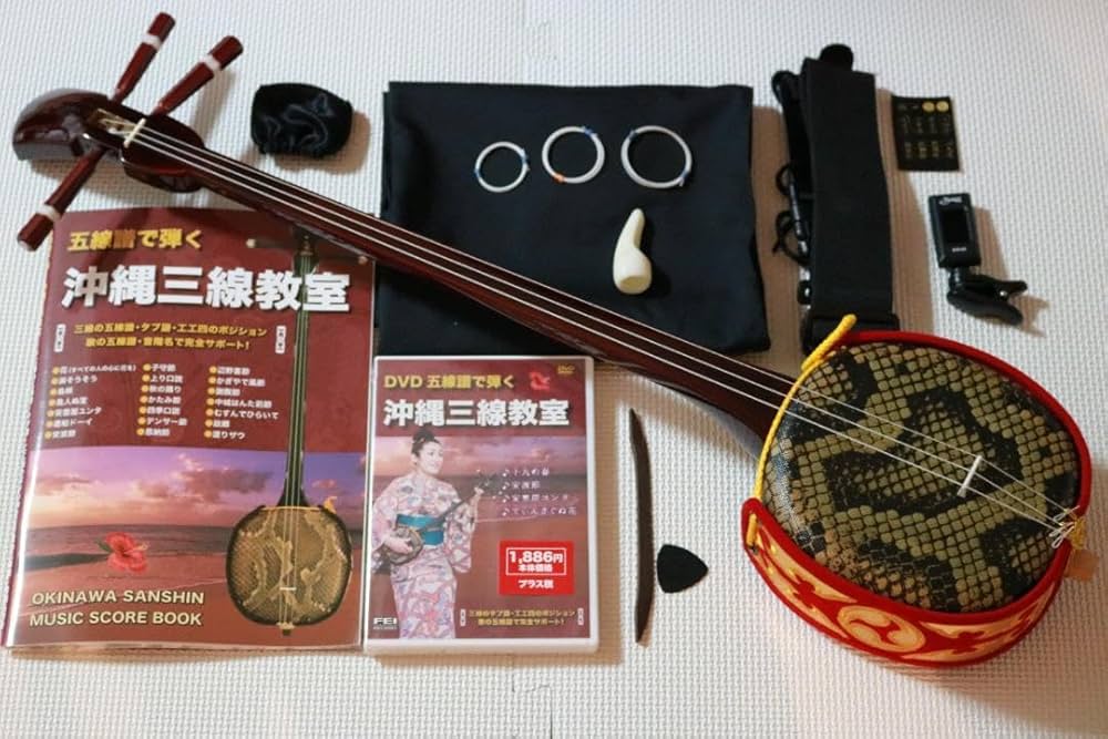 沖縄三線入門セット ケース.本.DVD付き 沖縄三線入門セット ケース.本