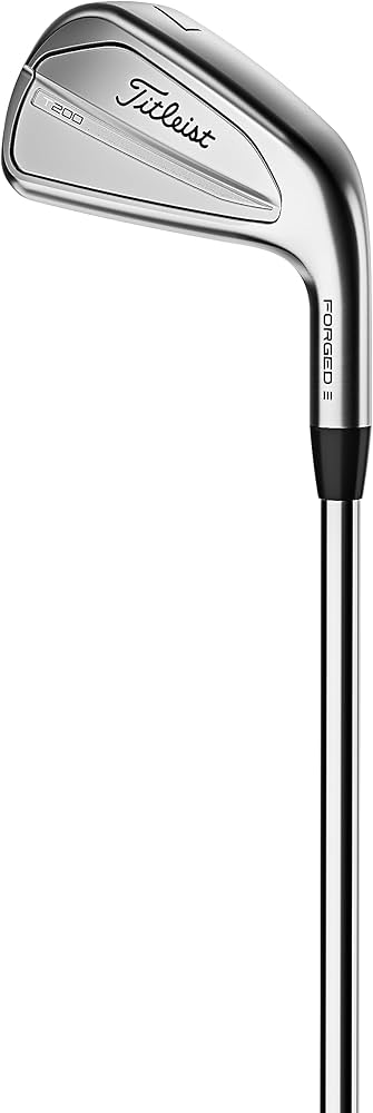 Amazon.co.jp: タイトリスト(TITLEIST) アイアンT200 3G RH NS 105T S