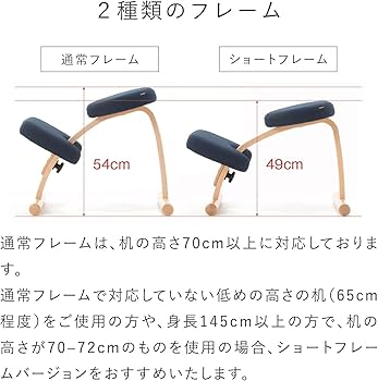 Amazon.co.jp: バランスラボ バランスイージー 通常フレーム 通常箱