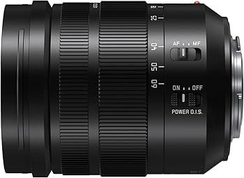 Amazon.com : Panasonic LUMIX Professional 12-60mm Camera Lens