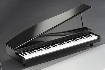 Amazon | KORG MICROPIANO マイクロピアノ ミニ鍵盤61鍵 ブラック 61曲