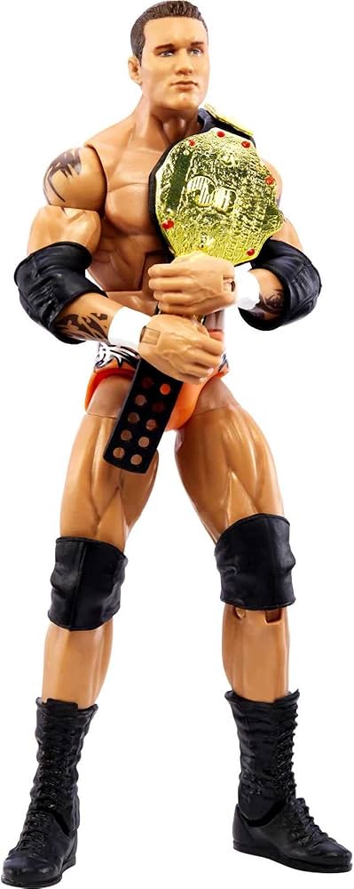 Amazon.com: Mattel WWE Randy Orton SummerSlam Elite Collection