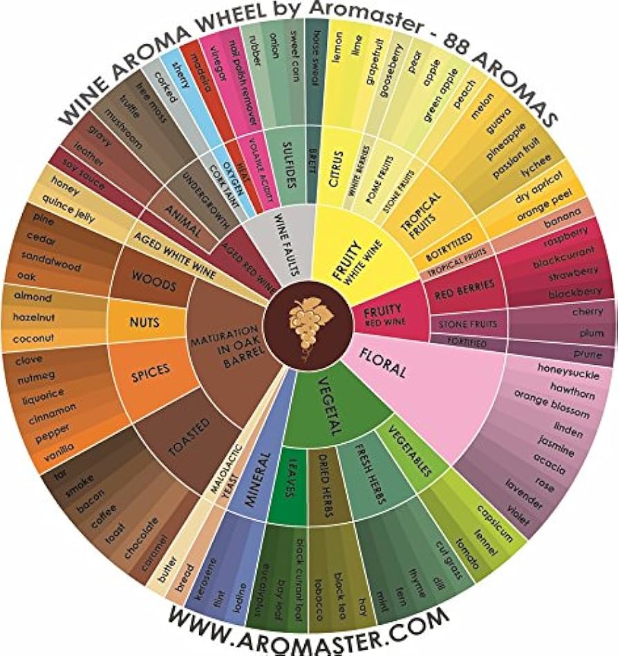 Amazon | マスターワインアロマキット（88種類のアロマ）ワインアロマ