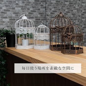 Amazon.co.jp: 鳥かご とりかご 鳥籠 オブジェ インテリア 置物 置き物