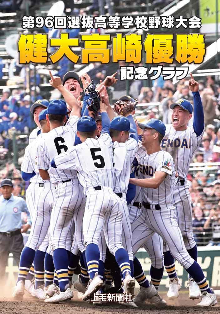 全国高校野球選手権大会#選抜高校野球大会 決勝戦ペナントセット 第95回