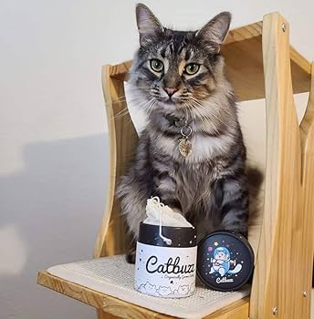 Amazon.com: Catbuzz Premium and Organically Grown Catnip, Fresh